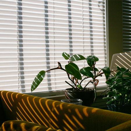 Venetian Blinds